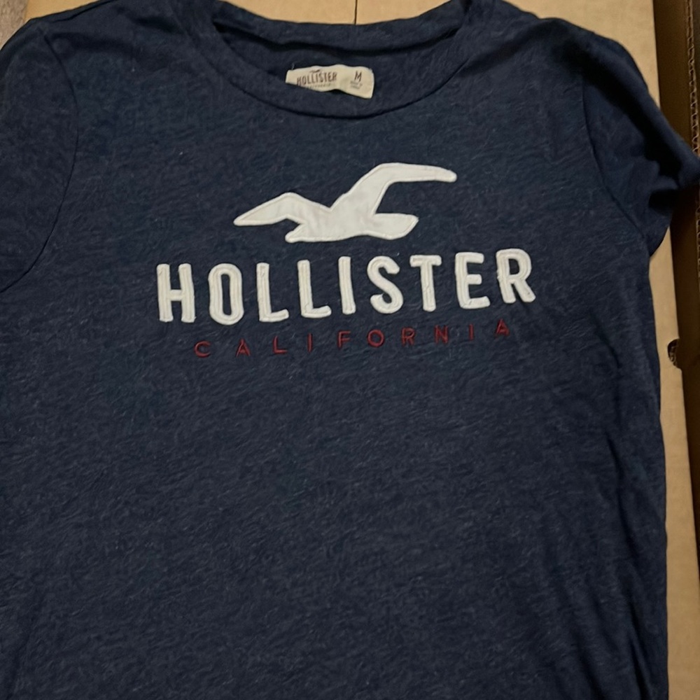Hollister T-Shirt Women’s Medium